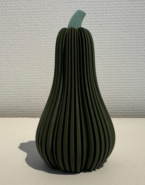 Butternut Squash dark green
